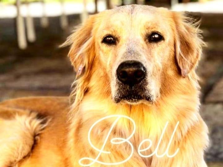 Pousada Da Bell Barreirinhas Kültér fotó